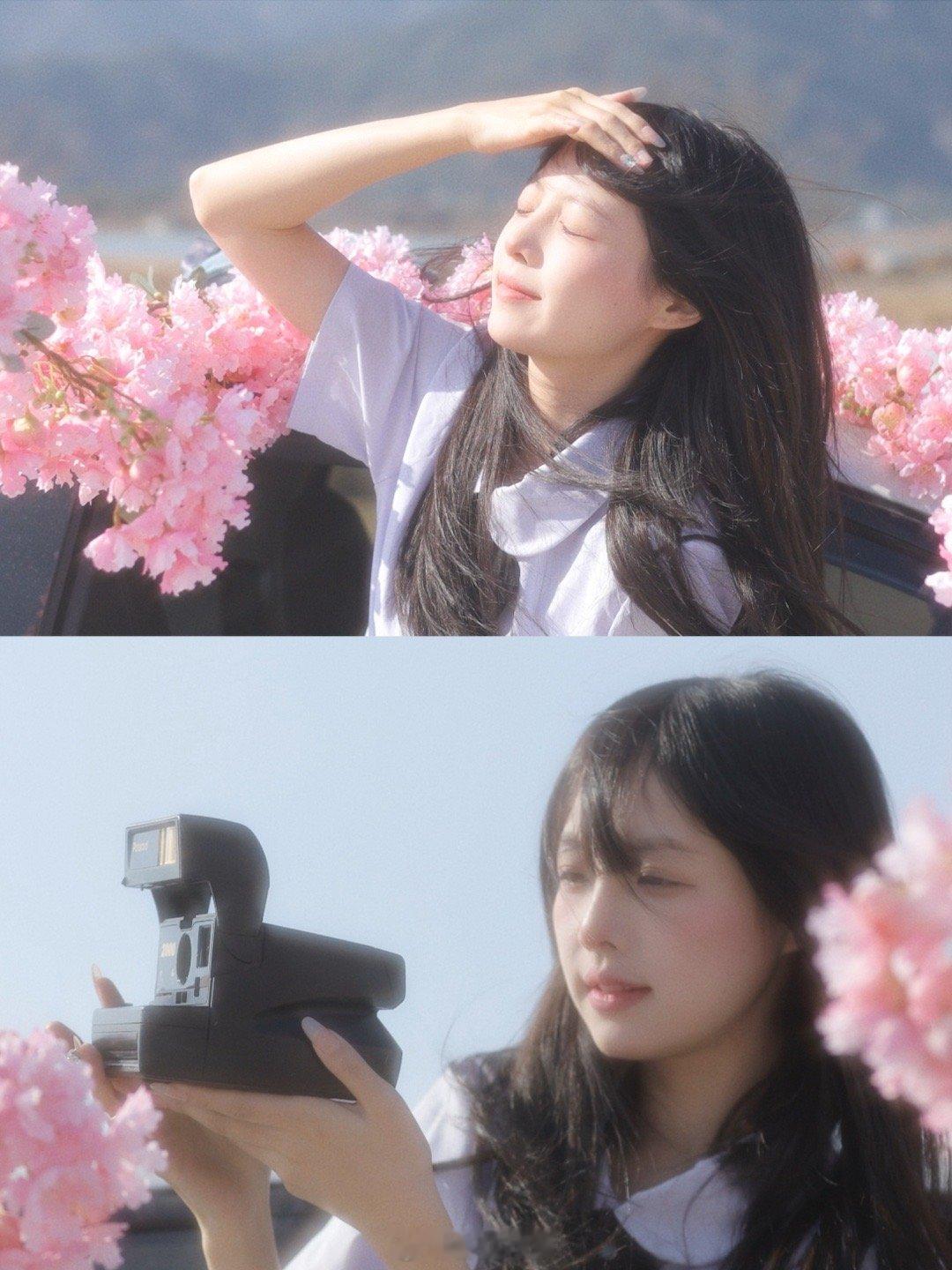 “春天的花是冬天的梦” 