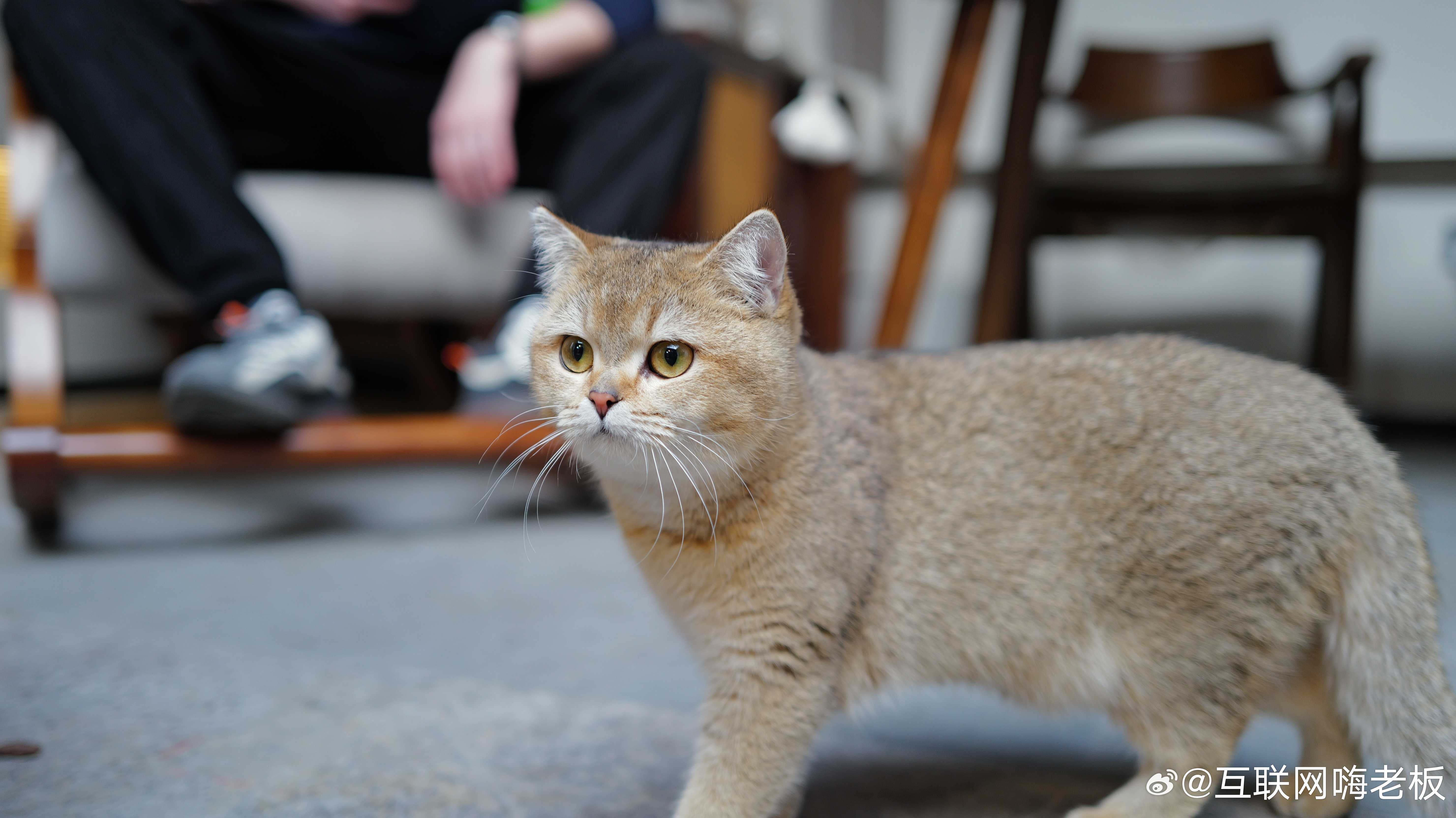 我要跟所有人打工人分享一个噩耗：留给假期的时间已经不多了，距离滚回去上班进入最后