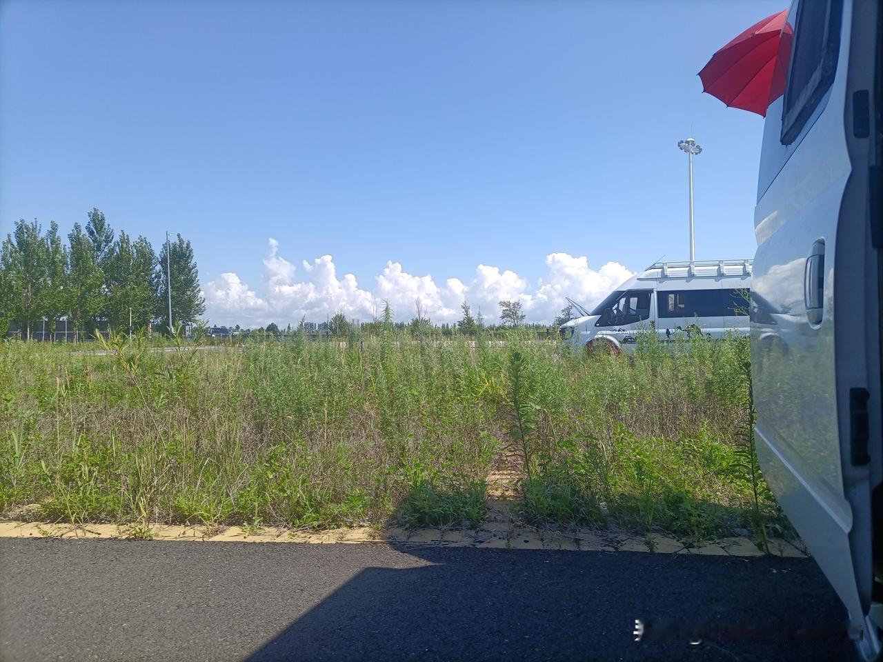 90 岁老母床前，70 岁老股东给同方股东大会的一封血书：人去不了，但话必须带到