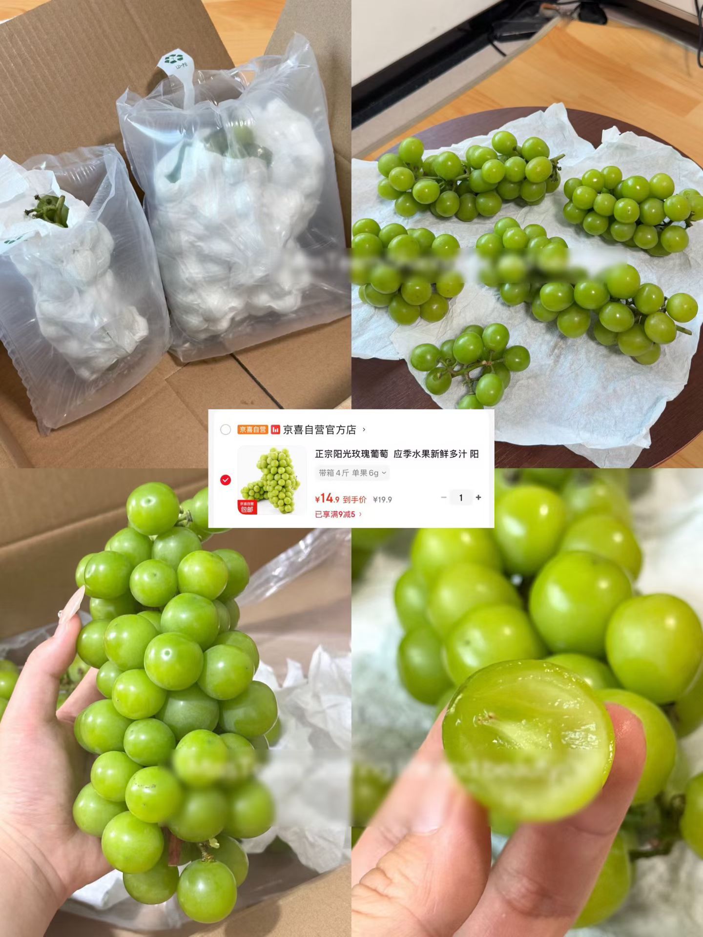 阳光玫瑰出𝐁𝐮𝐠了！！！