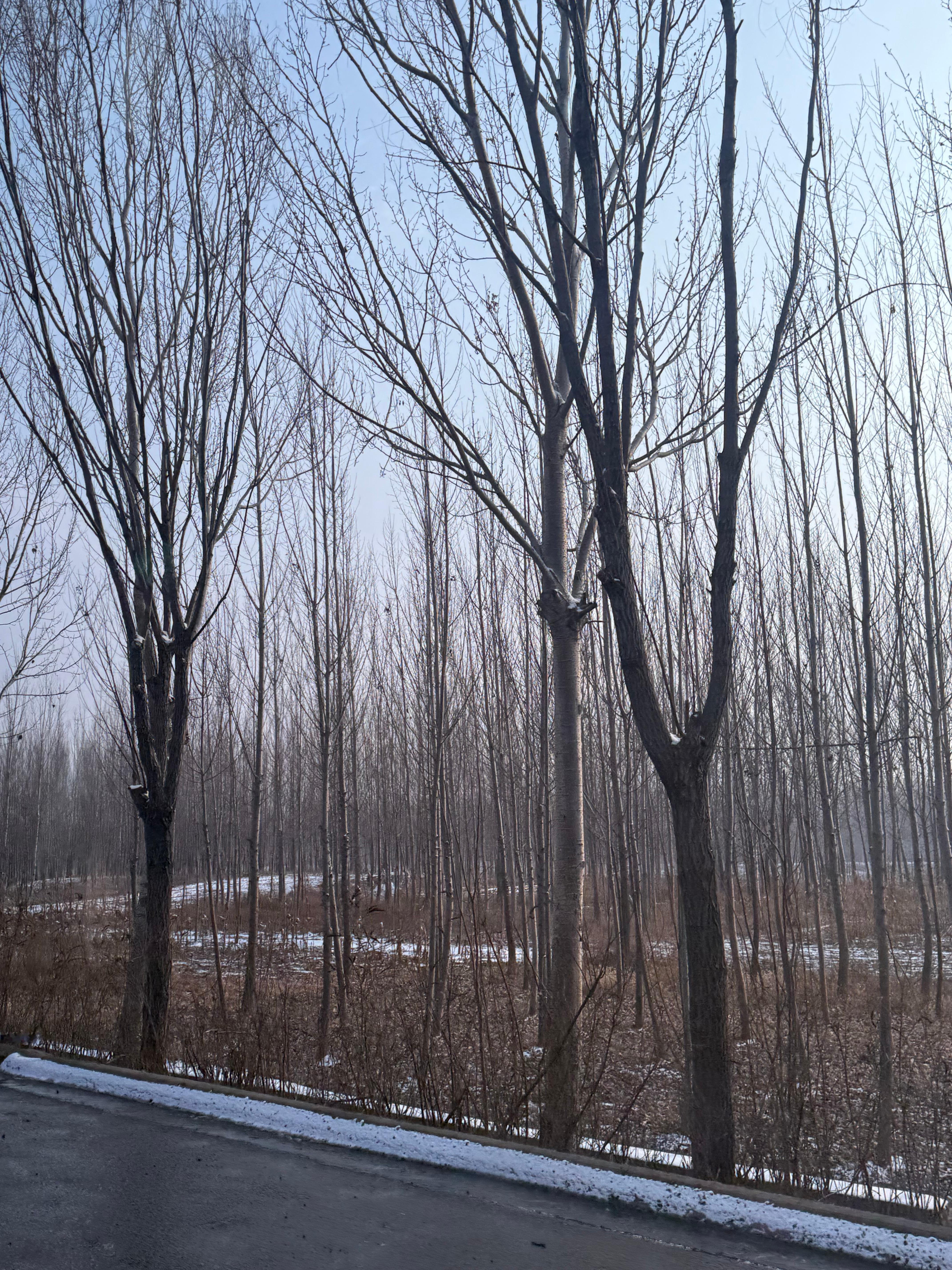 阿那亚这个地方实在很神奇，完全就是一次大型的人类社会实践，非常有意思，一定要讲讲