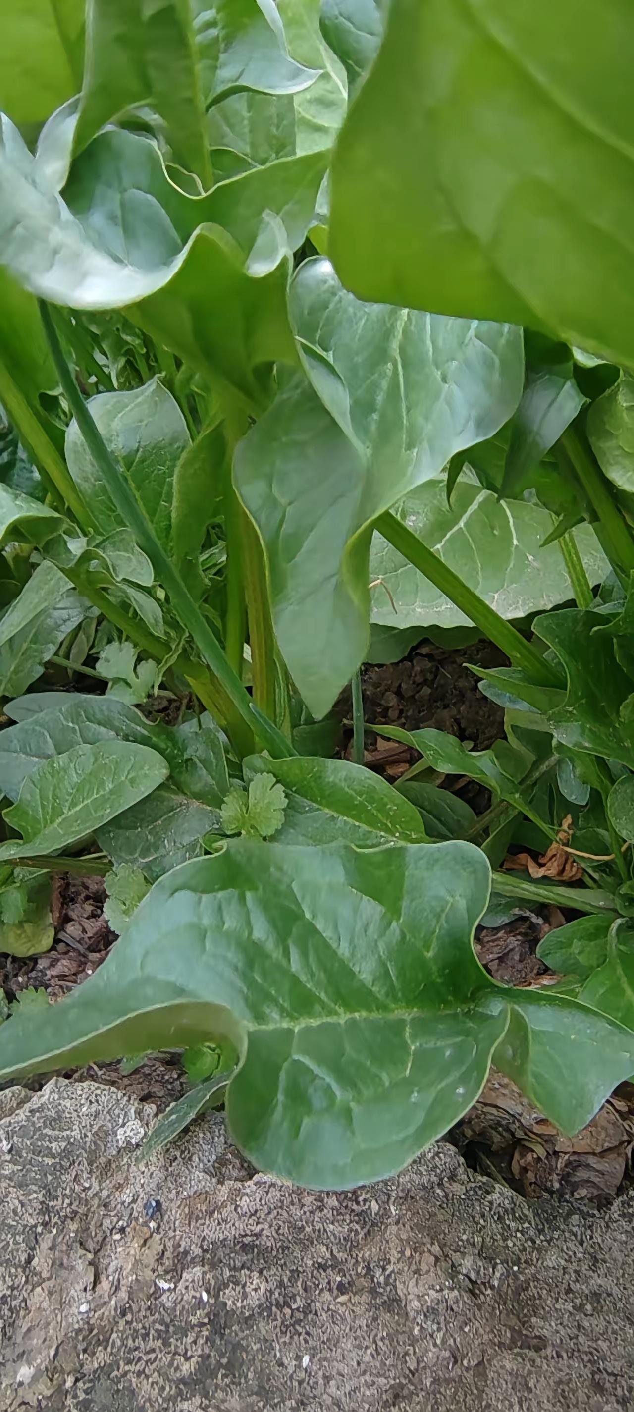 春天一到，暧昧气息直接拉满，难怪大家都说这是最容易心动的季节！
 
天气不冷不热