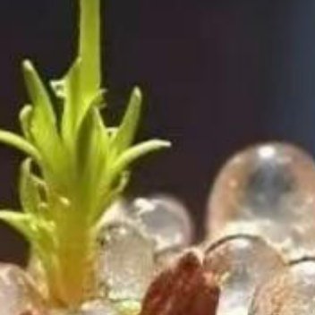 正能量善良真正的厉害之处，不在于表面功夫，而是能暖人心、顺天意。它护得住自己，也