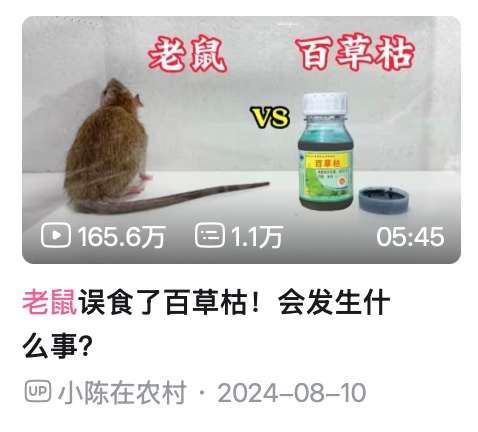 一个有基本之爱的人，不可能沉迷于虐杀老鼠水蛭清道夫这类视频，我最近才发现这些内容