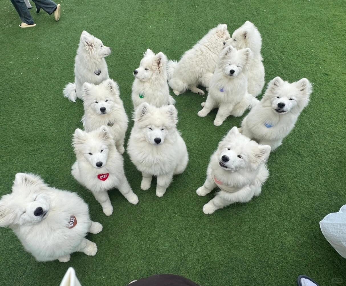 领导开早会时底下的员工 be like： ​​​