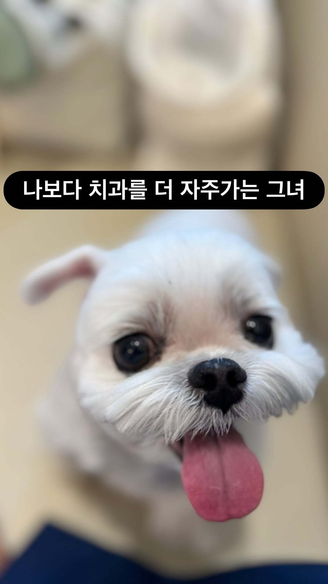 “CB百蓝_。251122 ins story更新：比我更常去牙科的她 