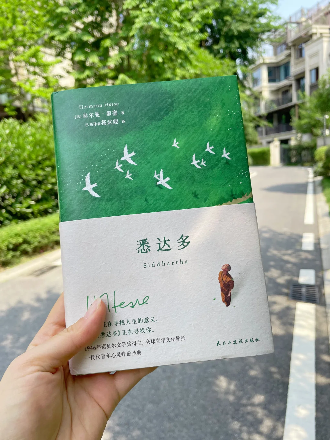 泪崩了😭这本书是我人生低谷期的救赎！