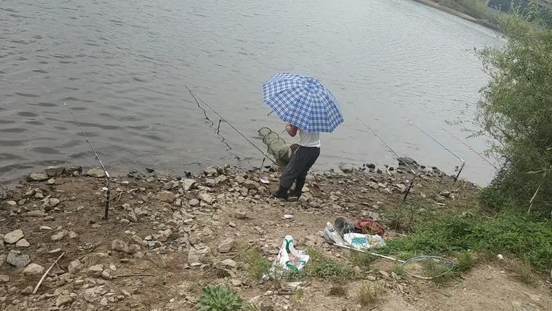 说钓鱼人越来越少，我可不这么觉得，我身边钓鱼的人明显增多了。钓鱼资源少确实是个问