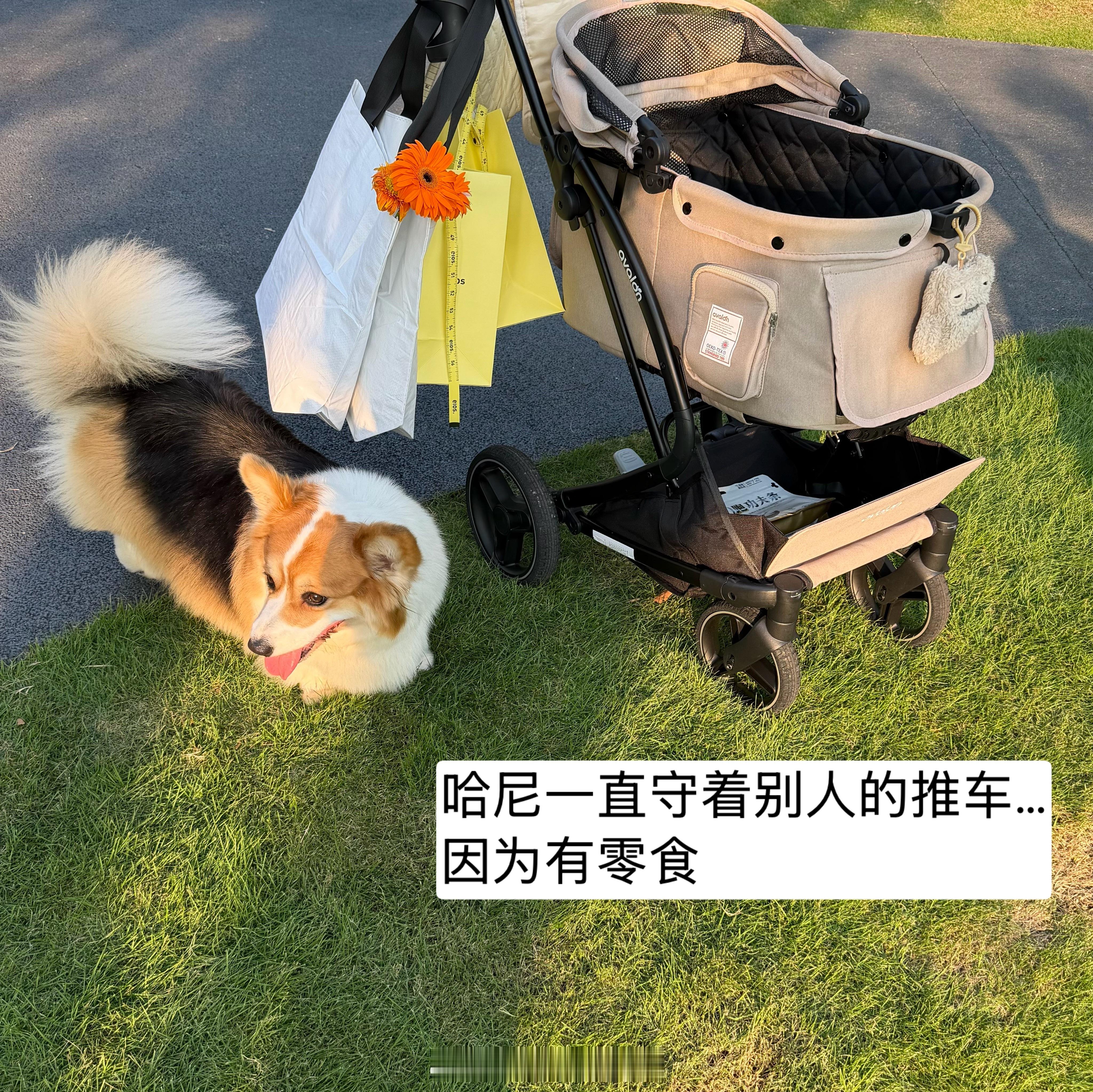 今日日常碎碎念 