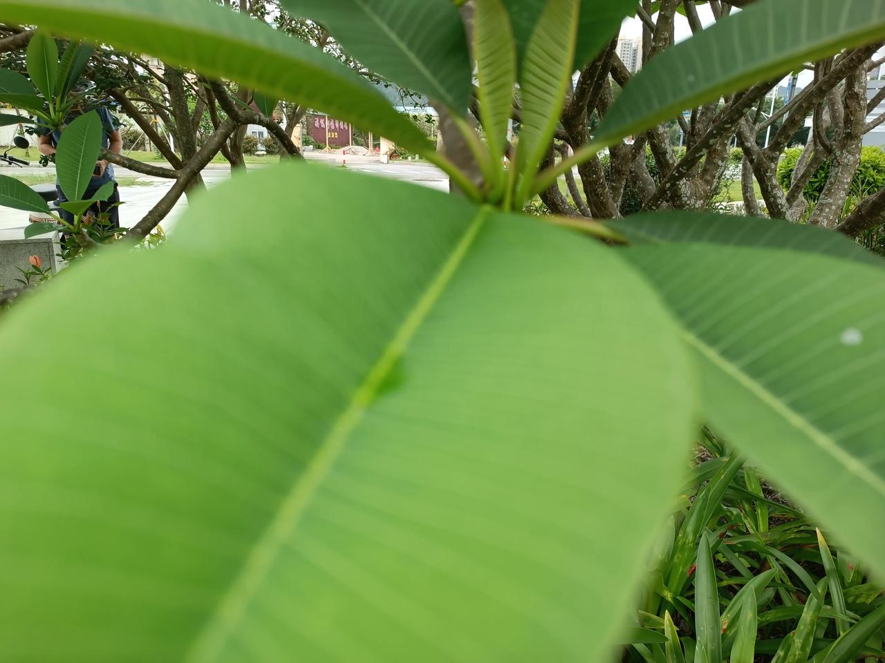 我认为不算
[送自己一朵花][送自己一朵花][赞][赞][比心][比心]