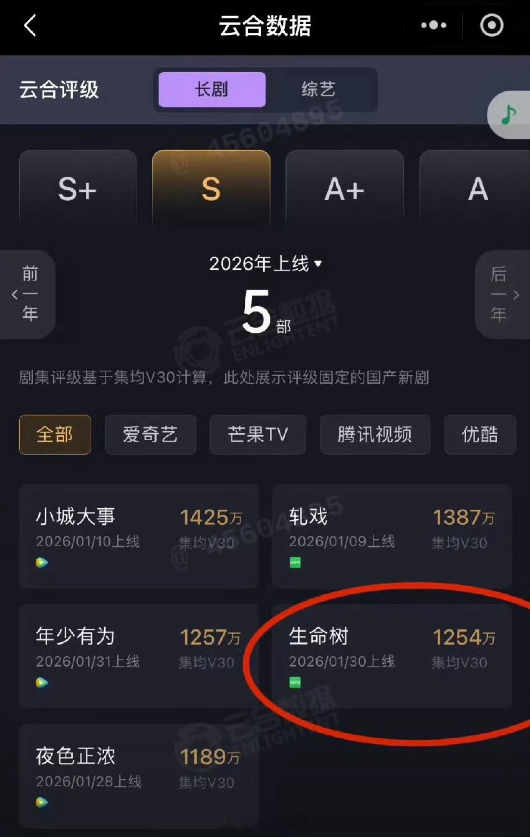 生命树云合集均V30固定集均1254万 