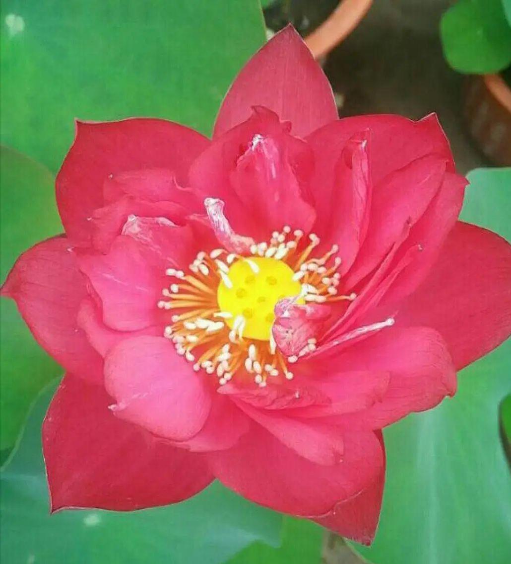 层次高的人心胸广阔，能海纳百川，兼容并蓄；层次低的人心胸狭窄，不能接受比自己强的