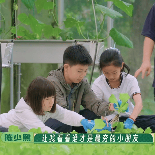 种地吧小孩谁给我报的名后陡门散黄定律永不失效，这次连小朋友都没能躲开，看着看着忍