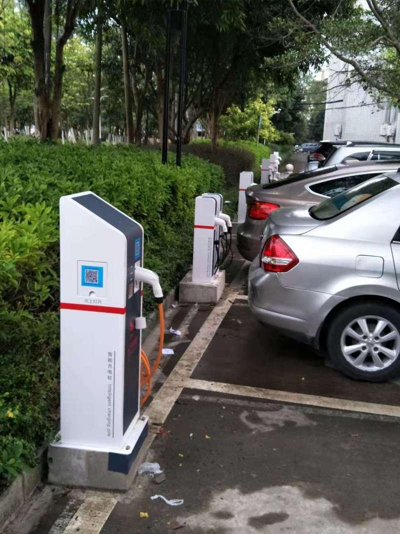 不知道你注意到没有？这个国庆假期，各大高速公路上除了堵车，还上演了一出新能源车“