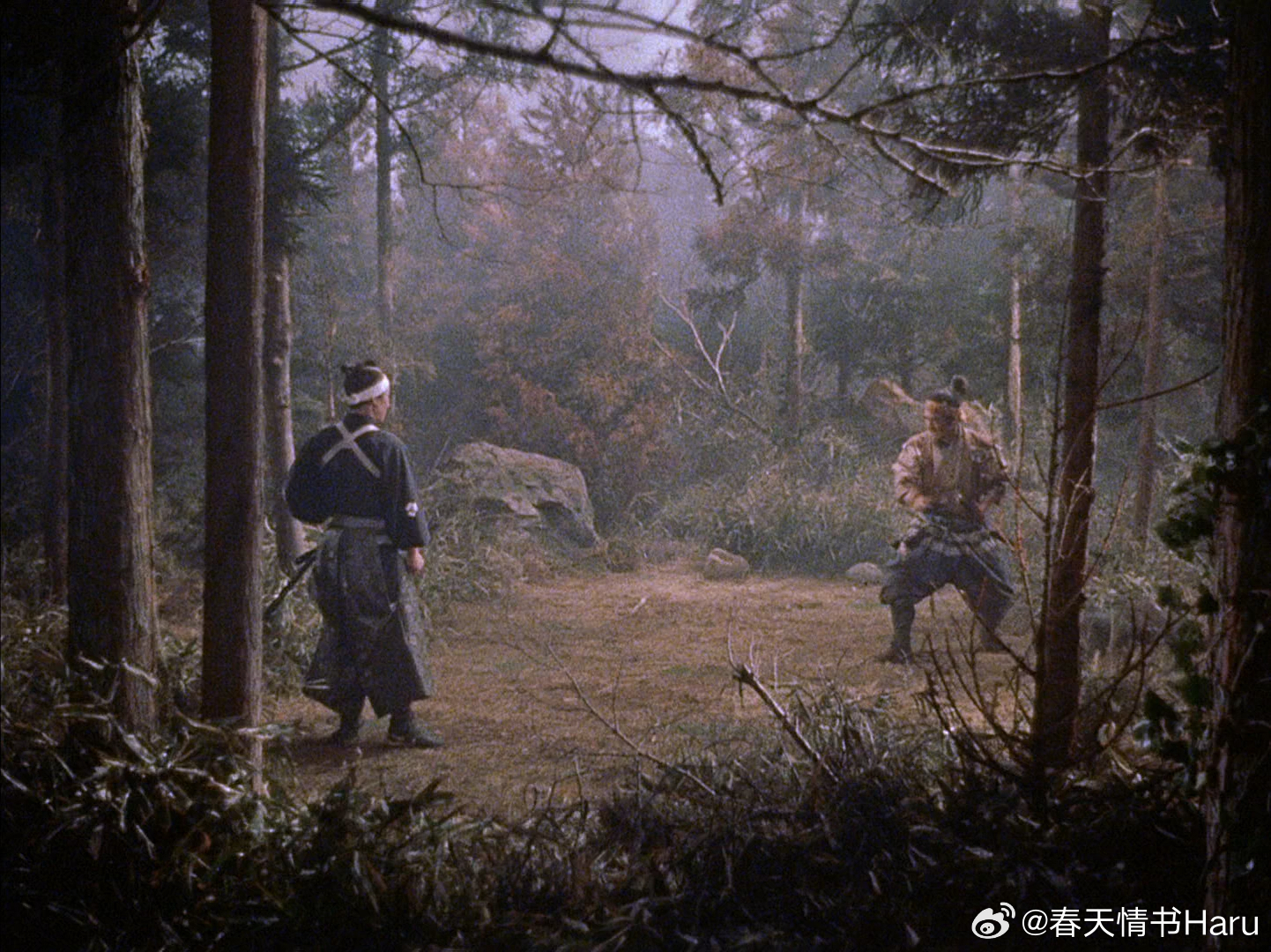 宫本武藏 三部曲（1954-1956）第一部获得第28届奥斯卡最佳外语片，稻垣浩