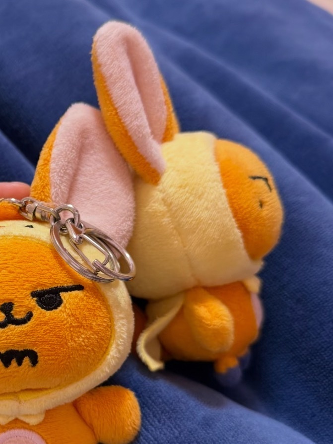 黄春の超绝小翘鼻分享 