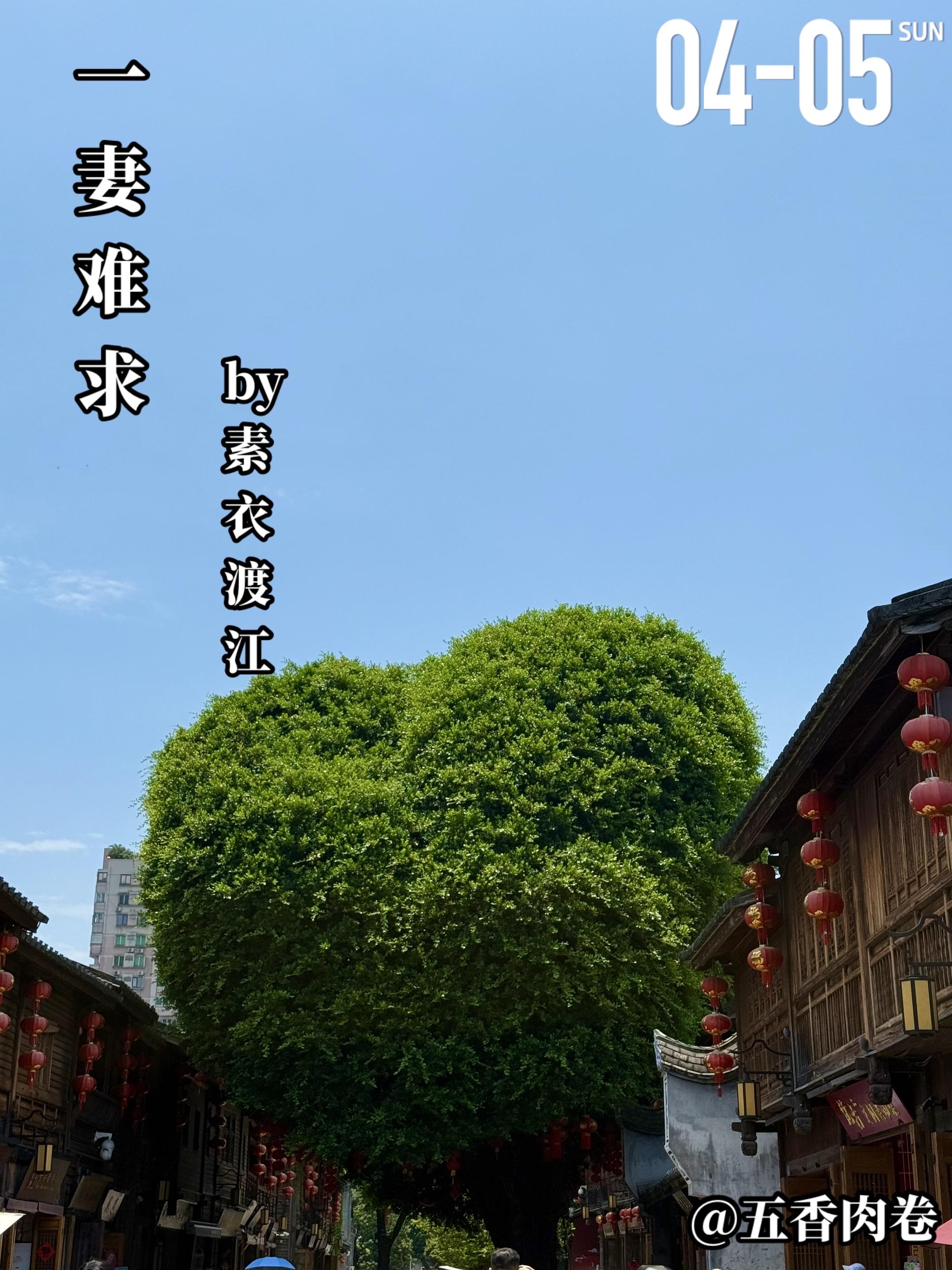《一妻难求》by素衣渡江。卓雨楼（女主）从一名现代女性穿越成为南京一富...