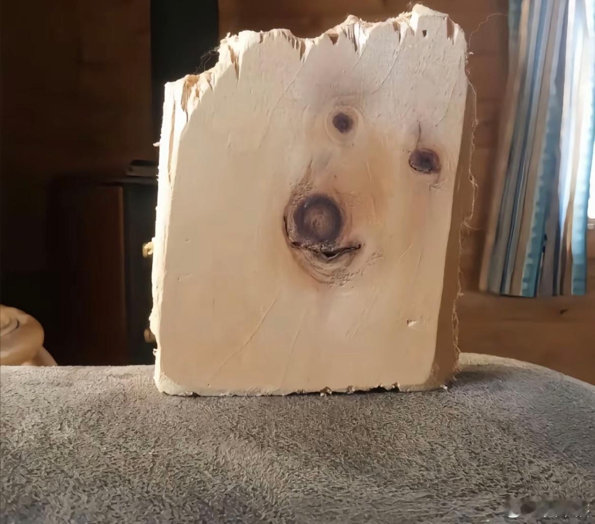 是不是发现生活中无趣的一刻！