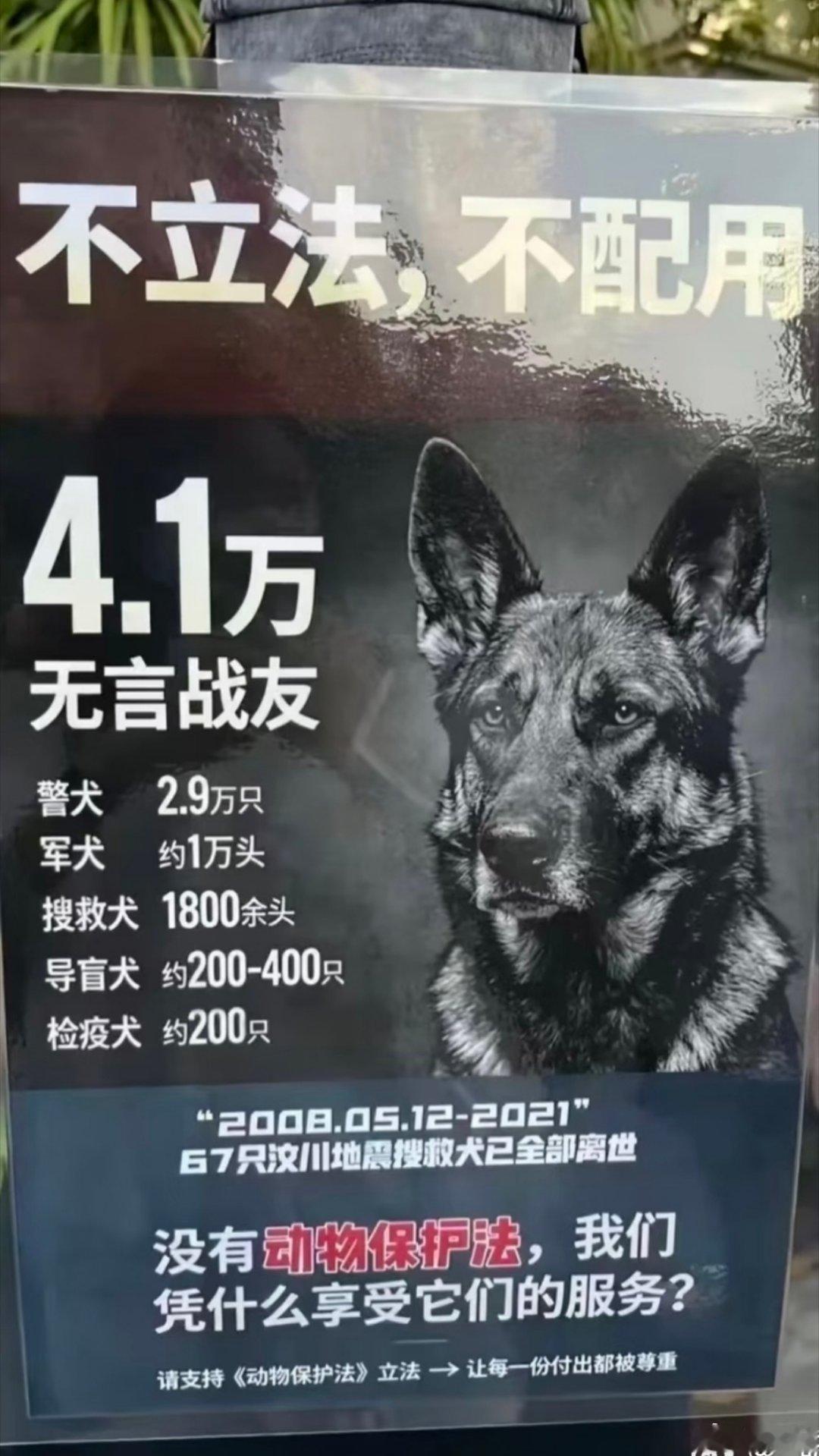 4名未成年人虐狗未满14岁不担责可以骂人吗？不可以的话我就无话可说了。 