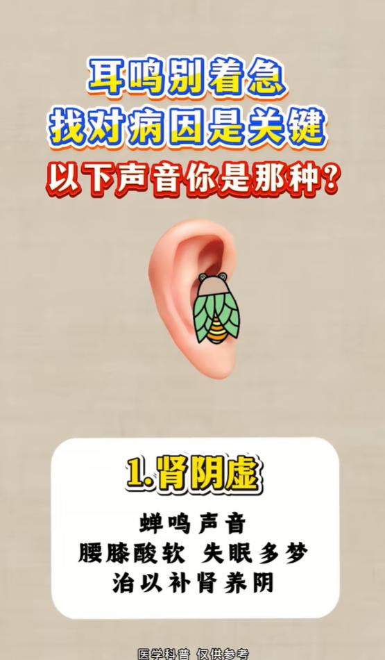 听耳鸣声音辨体质，肾、肝、脾、痰湿各不同