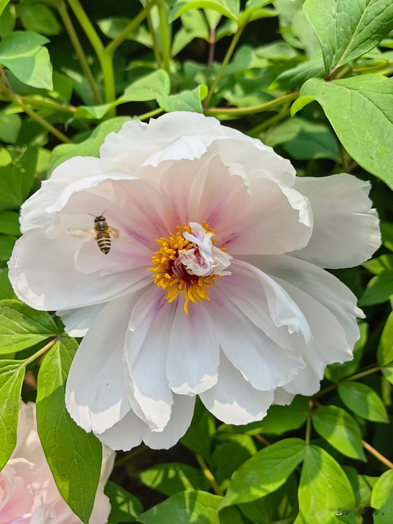 【小对联】
上：安葬；
下：……？