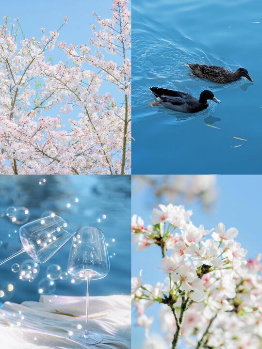 🍃｜春天从镜头里透出浅蓝的光