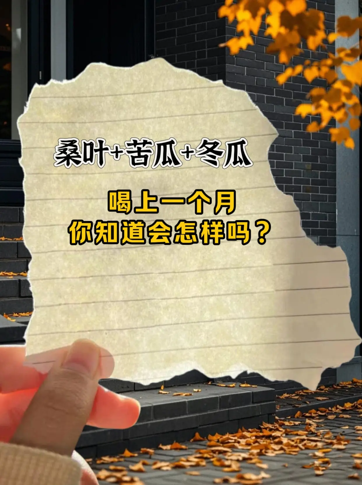 桑叶双瓜茶，乃大自然的养生妙品。它以桑叶、冬瓜干、苦瓜干精心配比而成。...