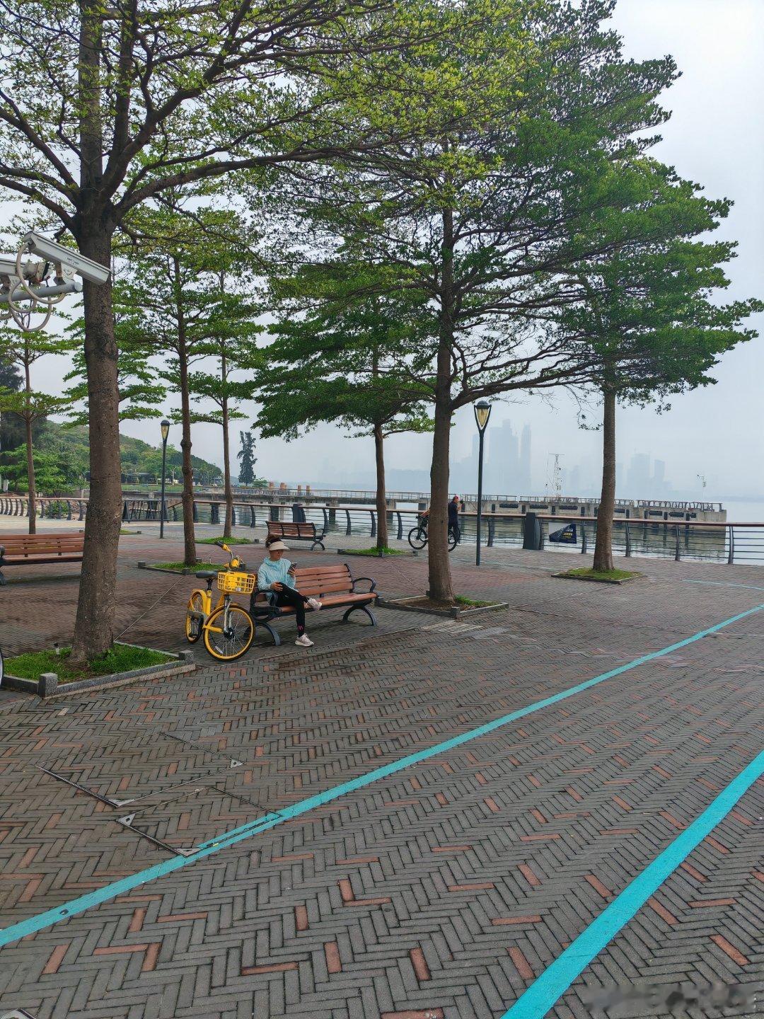 今天没太阳，适合锻炼。 深圳·深圳湾公园