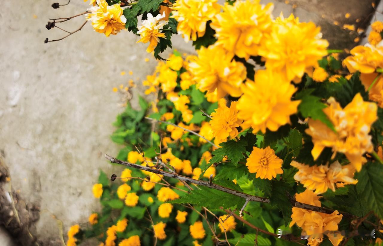 人这一生，啥也不说，

只管向前，向前，向前。

向前走，才不会在原地踏步。
