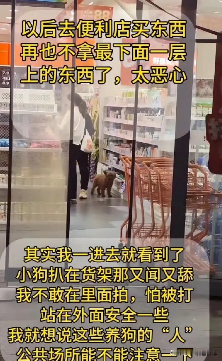 6月13日，山西一网友在零食有鸣便利店，拍到不道德养狗行为一幕：一对母女带着两只
