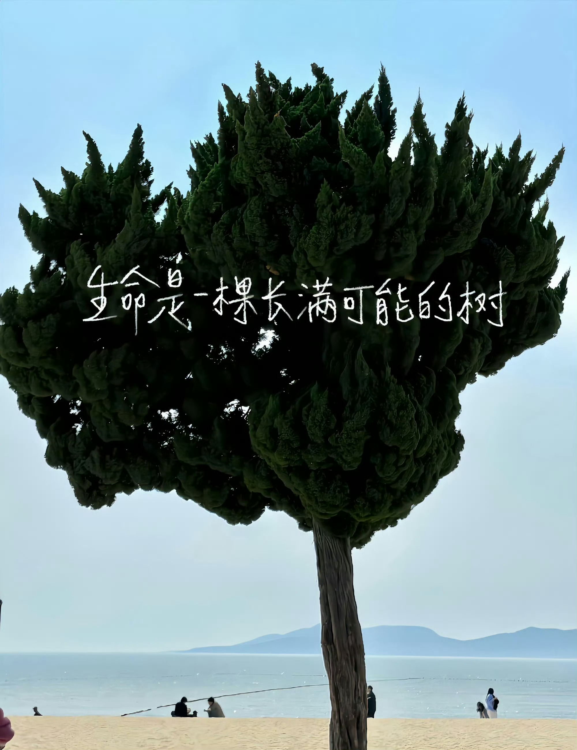 生酮记录 我还以为长期生酮饮食的人几乎不碰糖和碳水纯属意志力坚定，靠得是超人自控