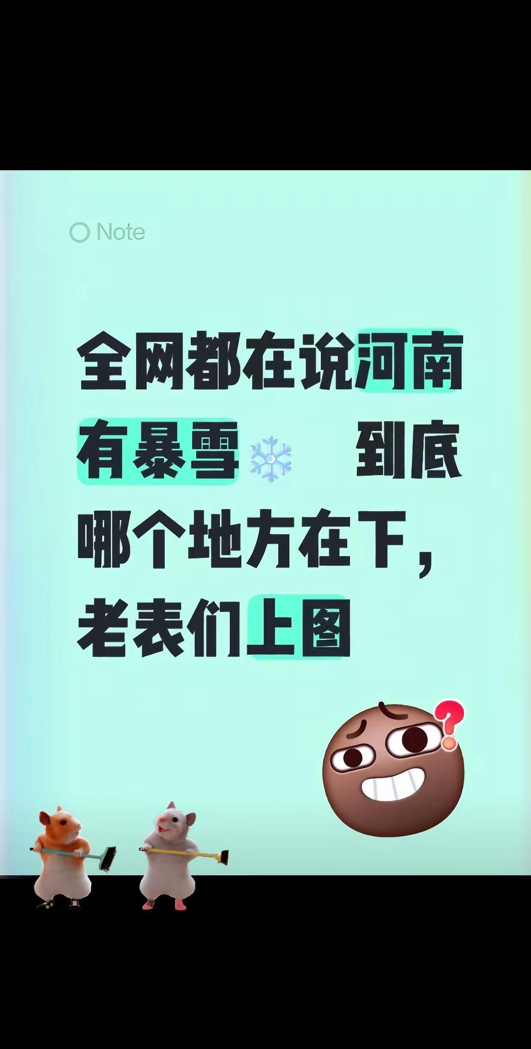 河南下雪❄️看过来