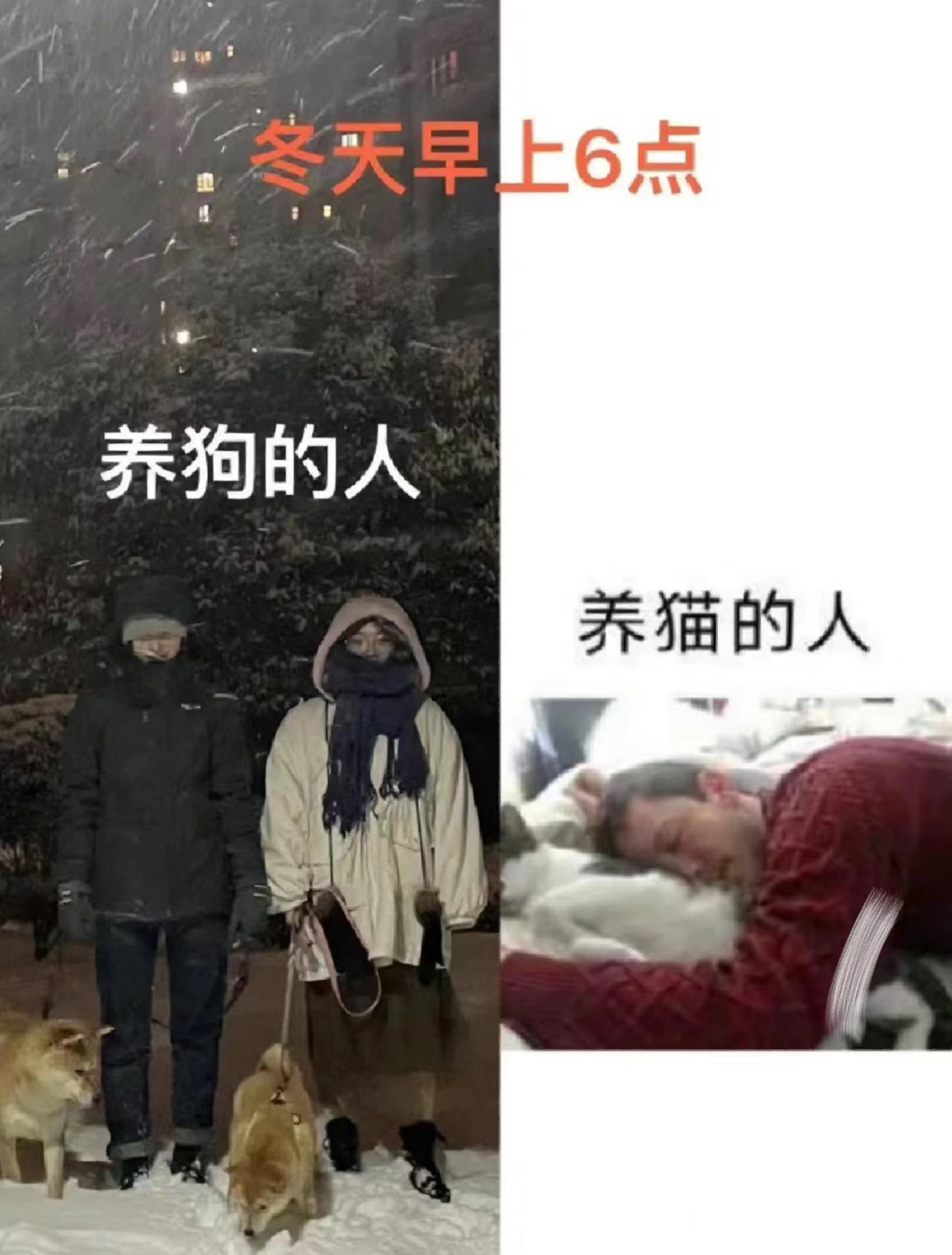 遛狗人才懂的冬日穿搭  养狗人真的恨冬天遛狗了...恨不得套着棉被出门遛狗了 冬