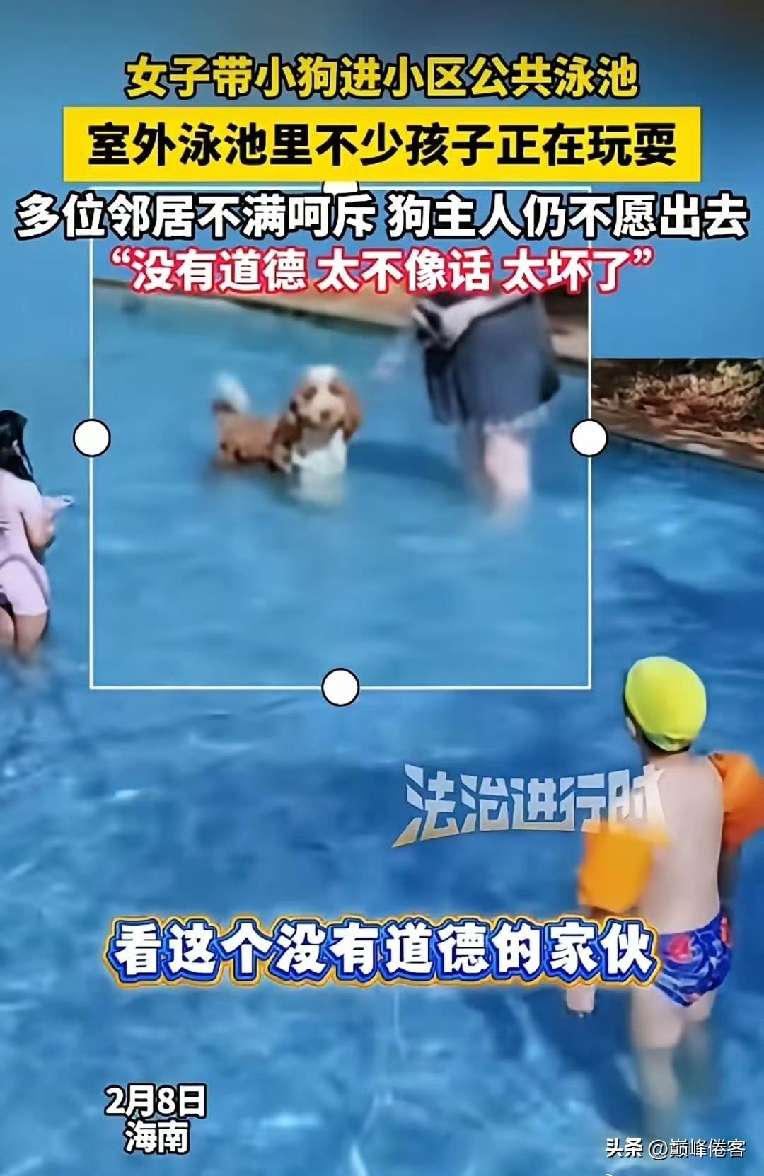 有些养狗人太坏了，带着狗就进了公共泳池。

我说的是“有些养狗人太坏了”！ ​​