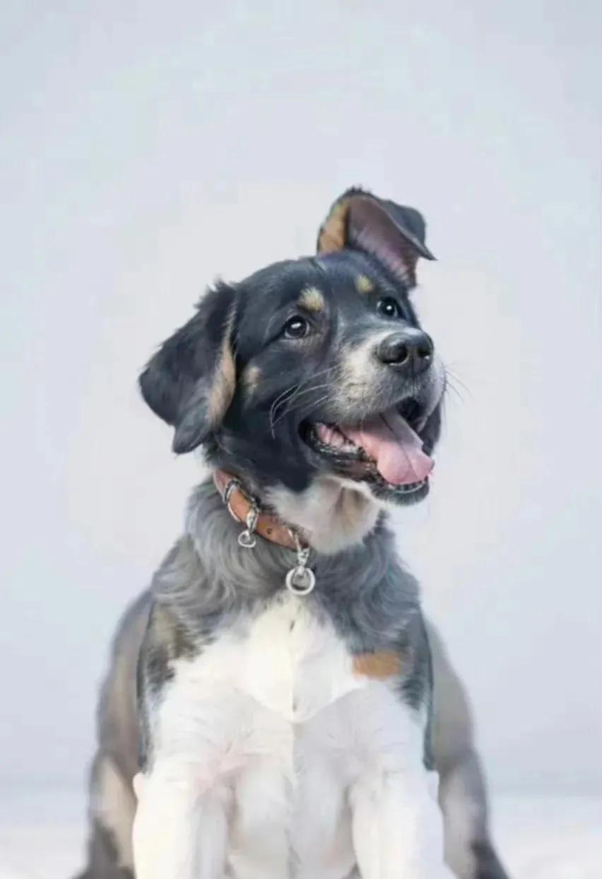 这个图，近看和远看，有不一样的效果