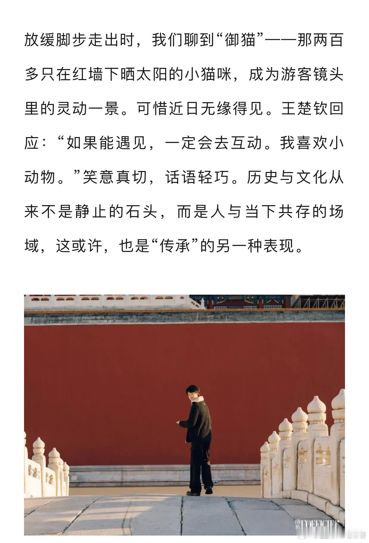 🐱🫳🏻 ​​​