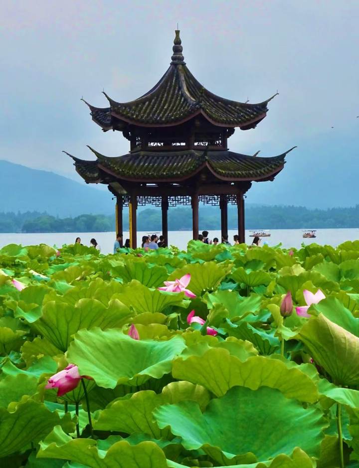 明起梅雨全面反扑，杭州连续4天，大雨到暴雨，局部大暴雨