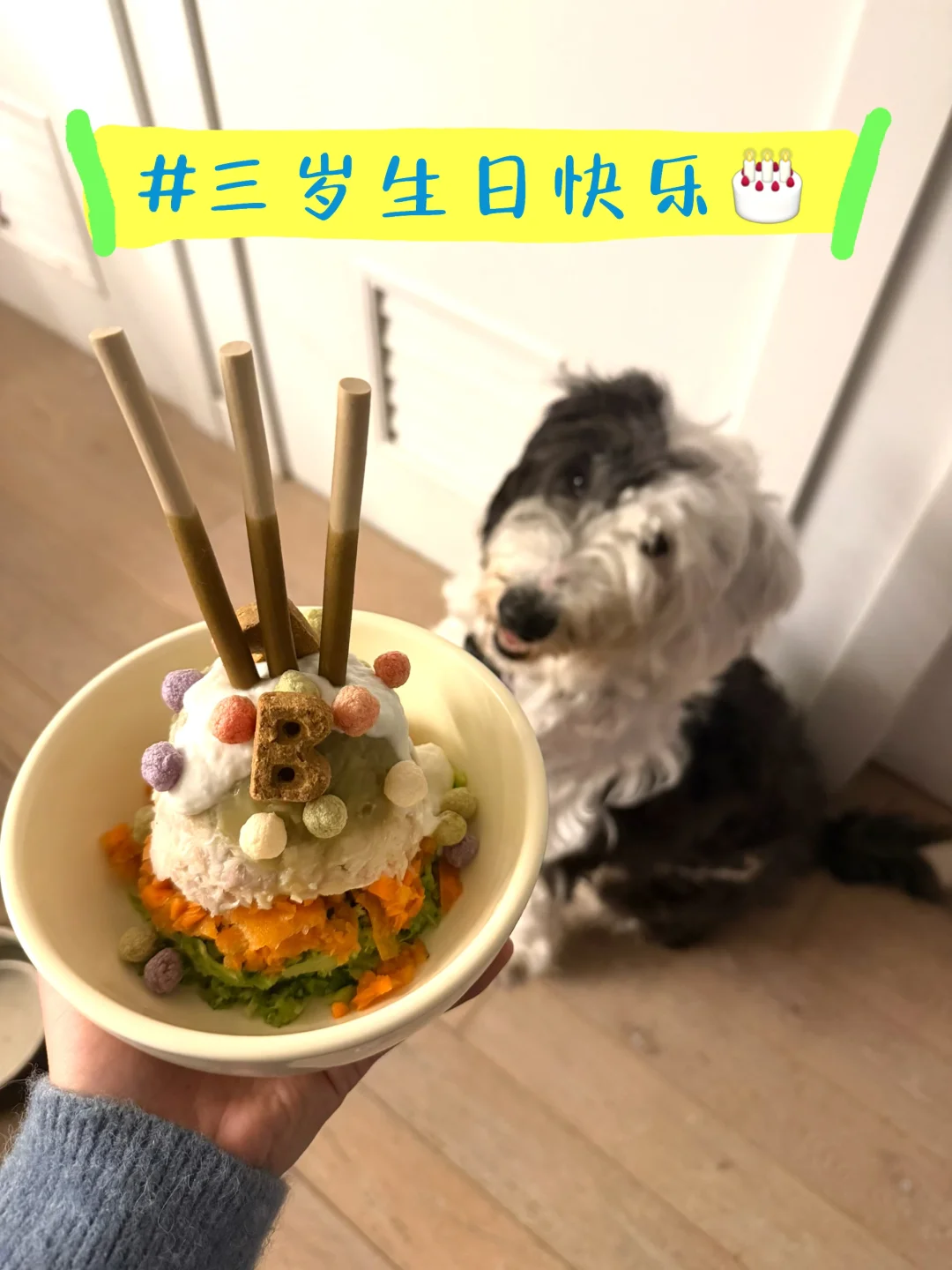 🐶Emma宝宝三岁啦🩷
