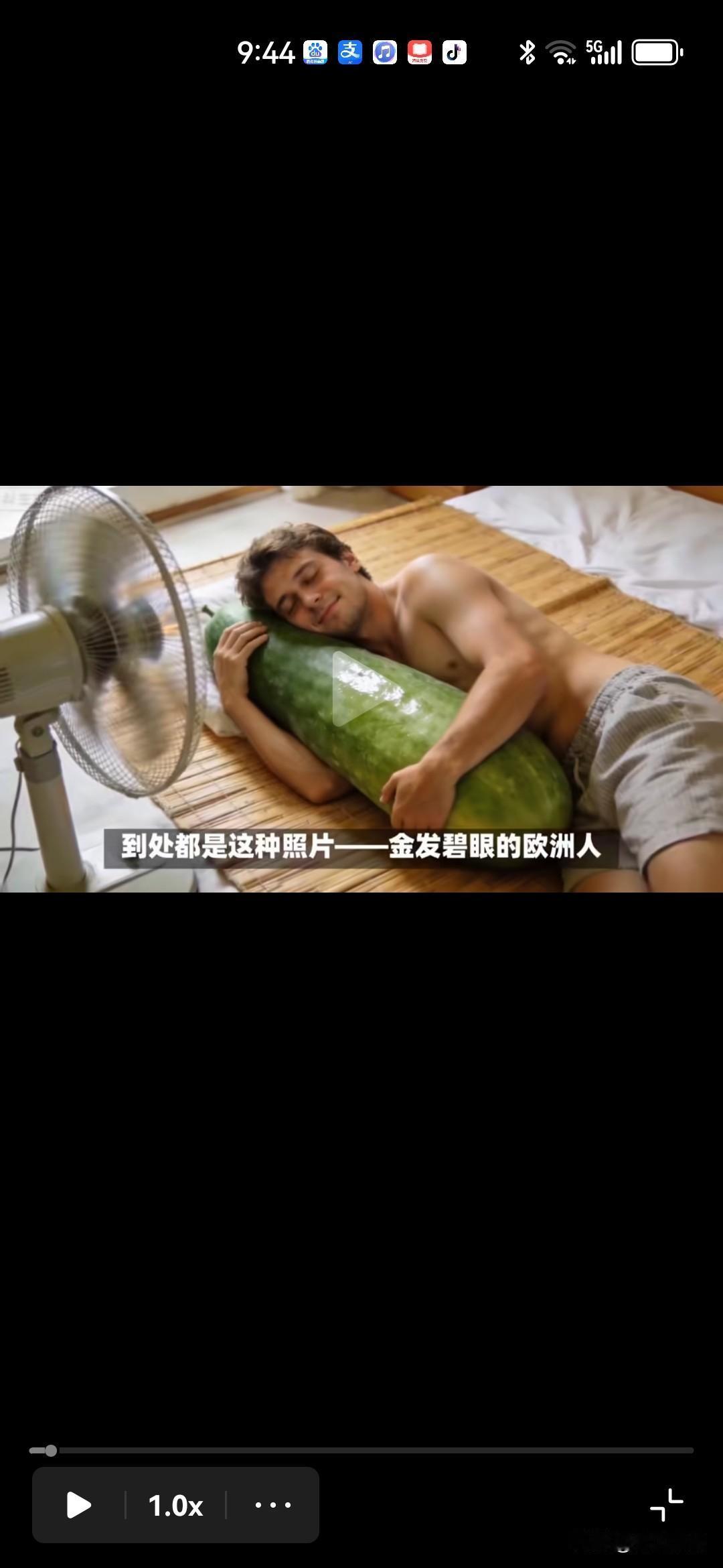 评论员：西方政策早就脱离民生！欧洲环保官员不准民众用空调，那怕热死人也不主张，所