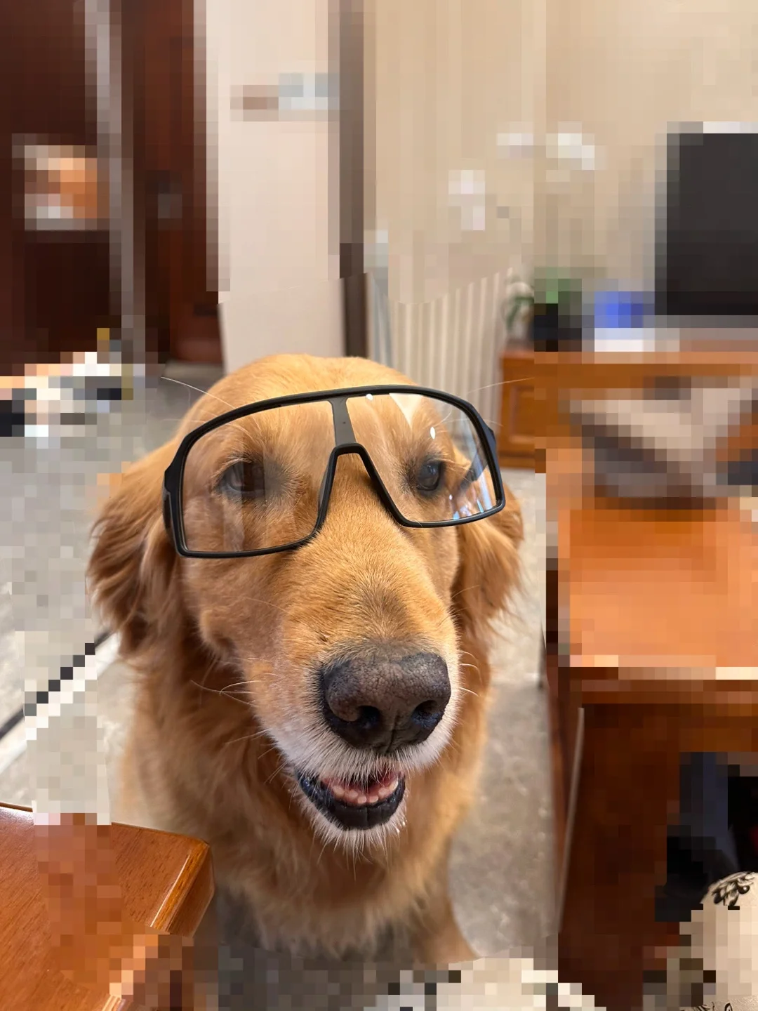 王牌飞行员~六六🤙