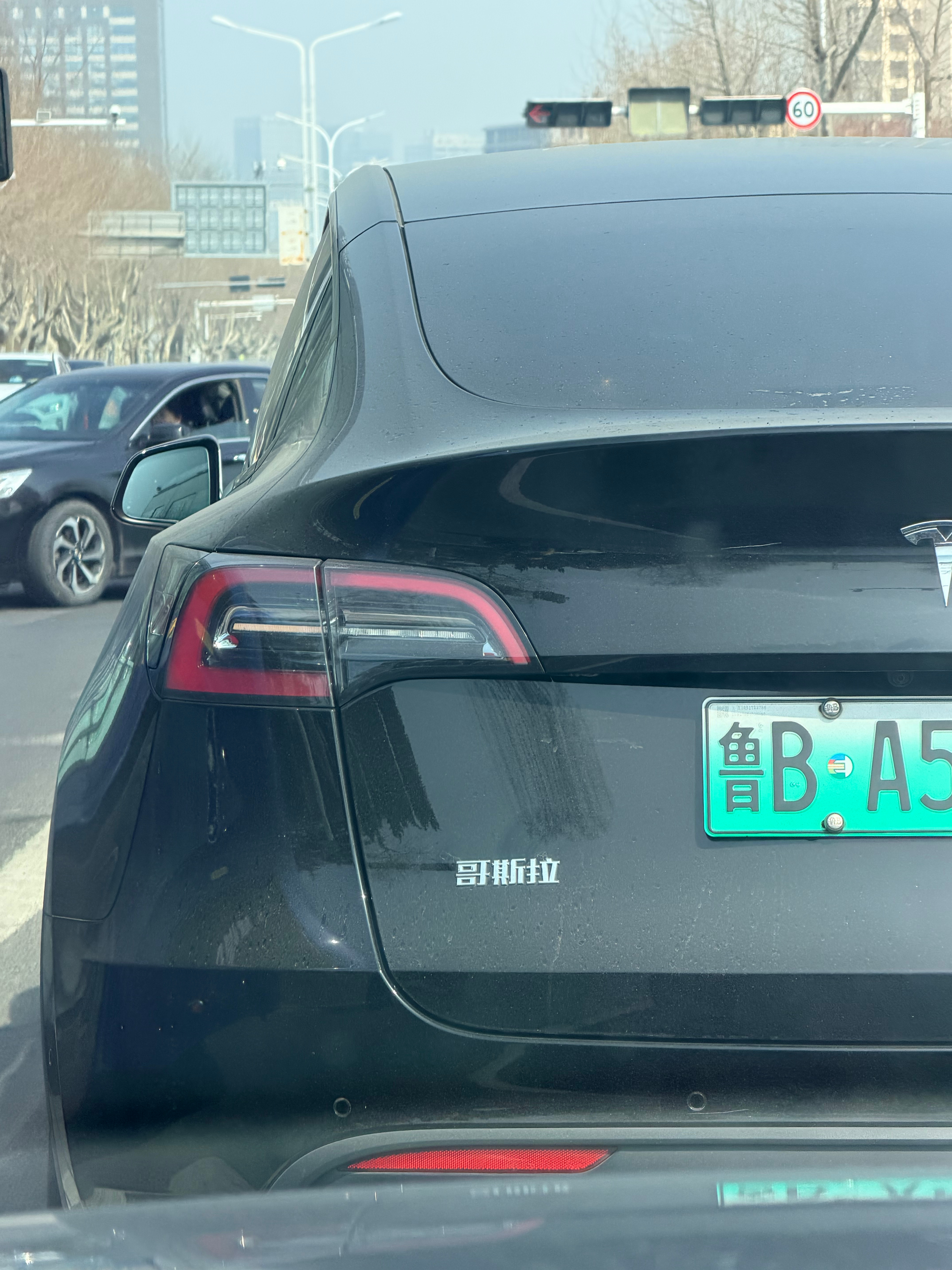 路遇哥斯拉，请求支援！ 青岛