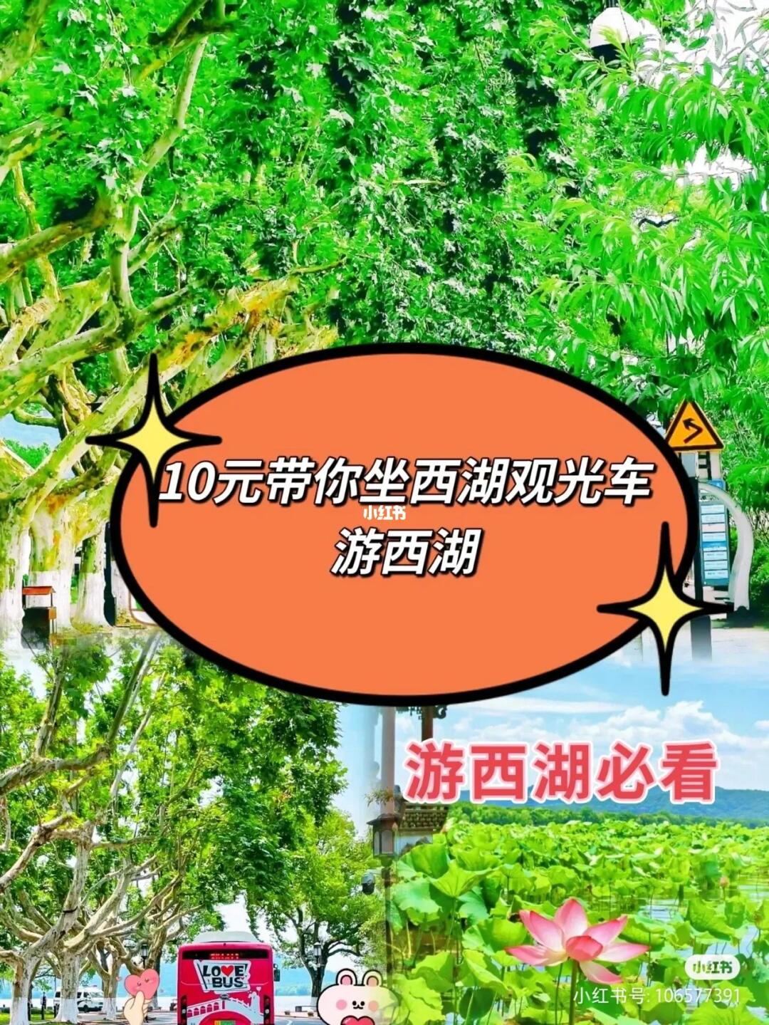 10元坐西湖观光车游西湖（游西湖必看）
