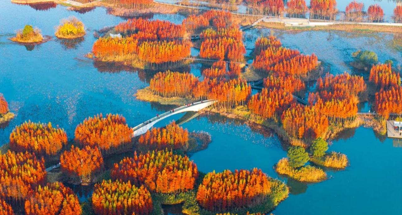 “洪城拍客”摄影作品展示
航拍下的鱼尾洲，大片水域如油画般铺展，其间散布着众多由