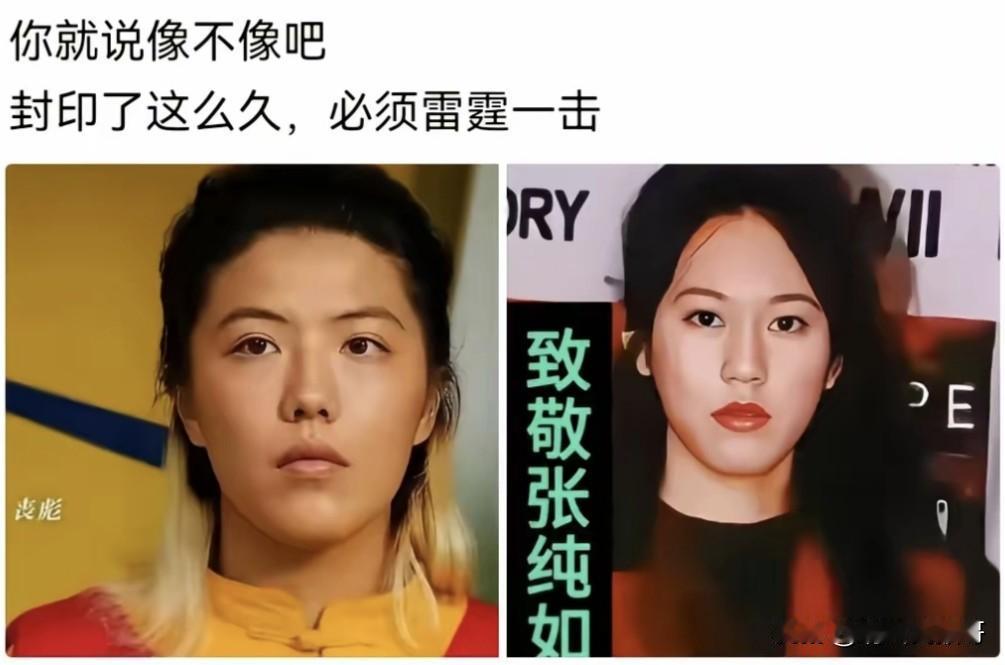 仔细一看，还真的很像呢！