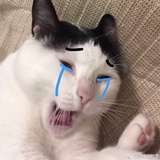 银莲热玩娱乐