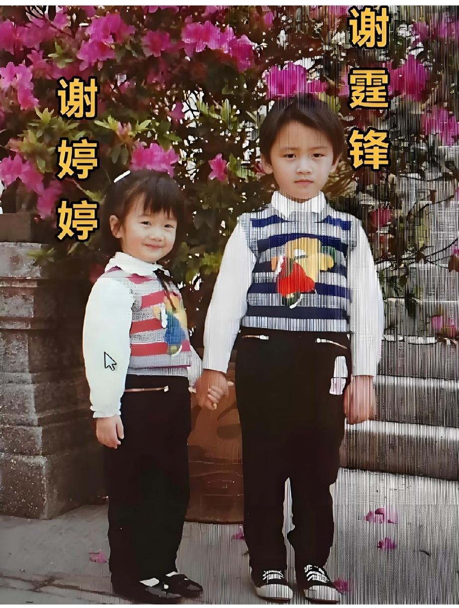 娱乐圈颜值最高的星二代！