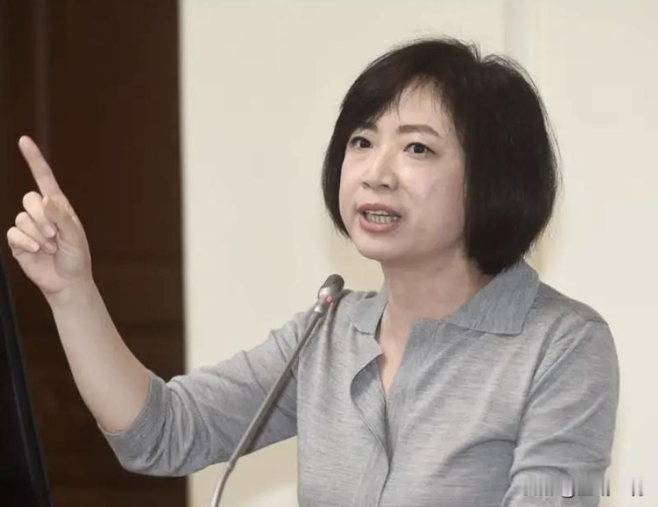 赖清德这便当会开得真不简单！一顿饭就拍板何欣纯战2026台中市长，20多位议员拍