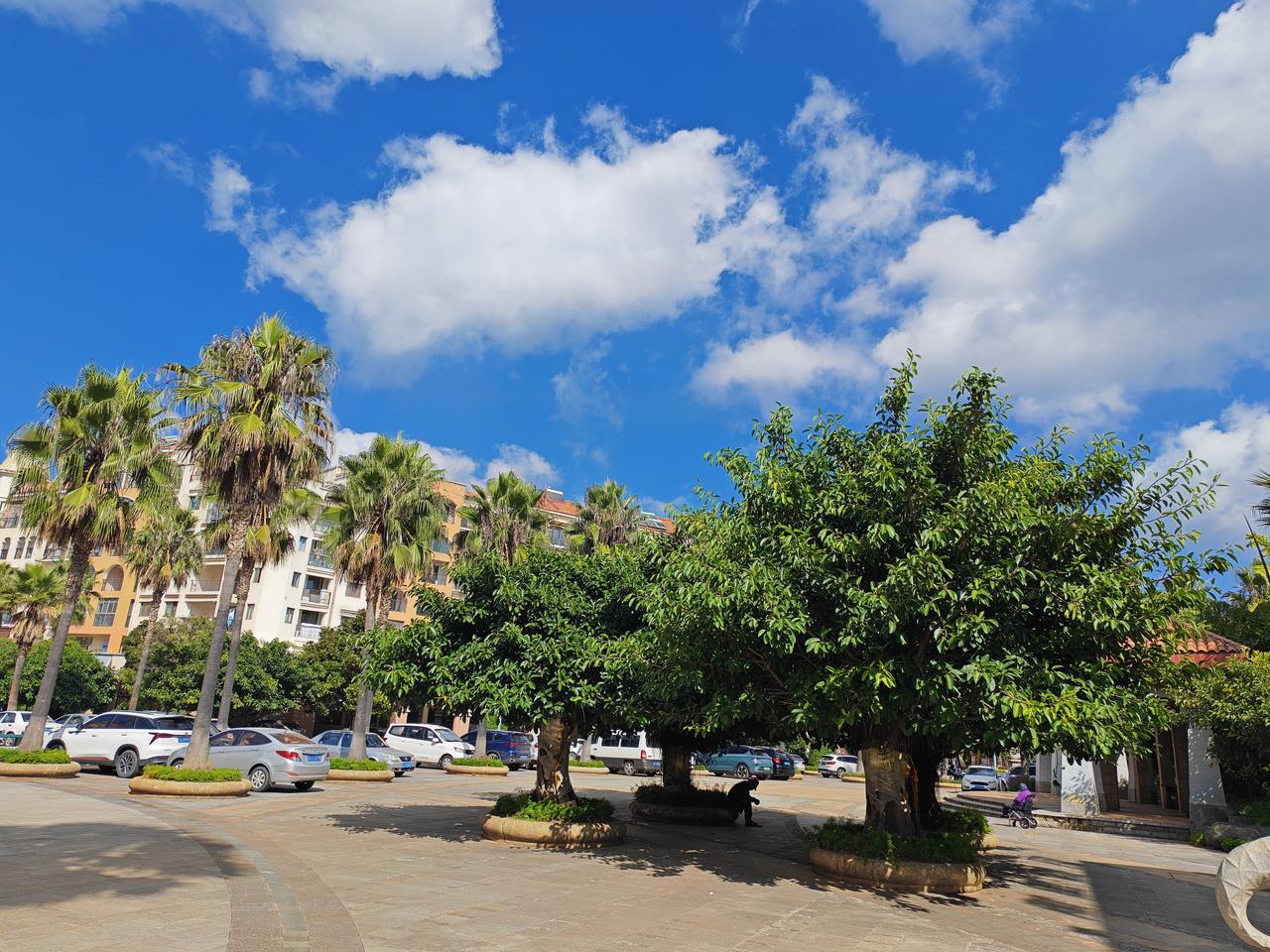 在头条上，一帮吃饱了撑的没事的糟老头，拿着手机喊打喊杀。他们在和平的环境中很勇敢