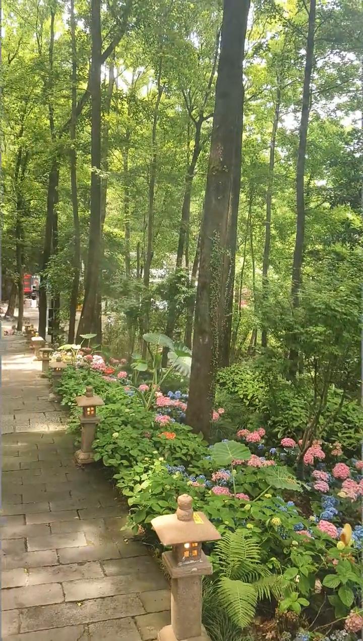 繁华中。