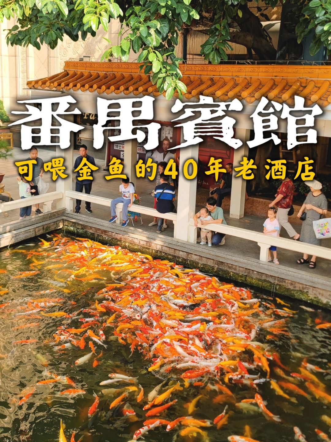 citywalk|番禺童年回忆，宾馆饮早茶喂金鱼